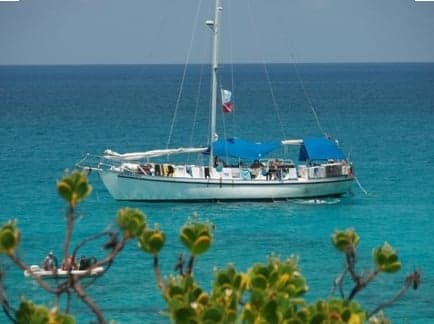 Part of the Blackbeard’s fleet, Sea Explorer focuses on budget-friendly diving around the Bahamas, with routes that include shallow wrecks, blue holes, and shark encounters