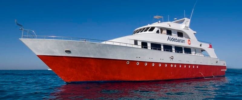 Aldebaran sails the classic northern Red Sea loop, diving the Thistlegorm, Abu Nuhas wrecks, and Ras Mohammed, all packed with marine life and vibrant corals