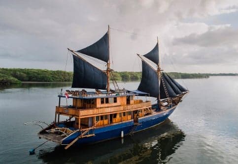 Situju7 cruises through Indonesia's Komodo National Park, offering snorkeling and diving experiences with manta rays, turtles, and vibrant coral reefs, along with visits to see Komodo dragons
