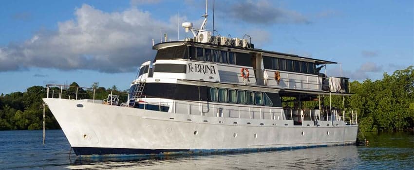 Febrina is a favorite among hardcore divers, exploring Kimbe Bay and the Witu Islands for pelagic species, vibrant coral reefs, and unique critters