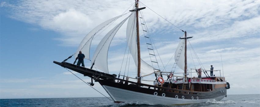 Akomo Isseki navigates Indonesia's rich waters, visiting areas like Raja Ampat and the Banda Sea, where divers can experience pristine reefs, schooling fish, and rare macro life