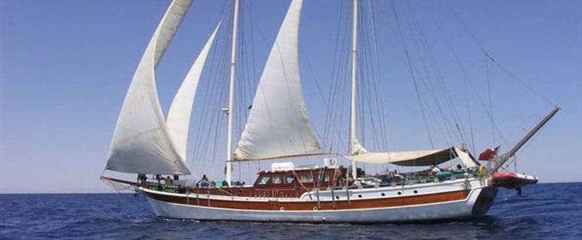 Elegante provides voyages through Djibouti’s Gulf of Tadjoura, with encounters featuring whale sharks, barracudas, and vast coral gardens thriving in warm, nutrient-rich waters