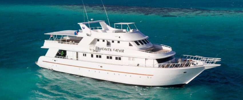 Heaven Saphir heads to the Red Sea’s top dive sites, combining luxury accommodations with vibrant reef ecosystems and shark-filled drop-offs