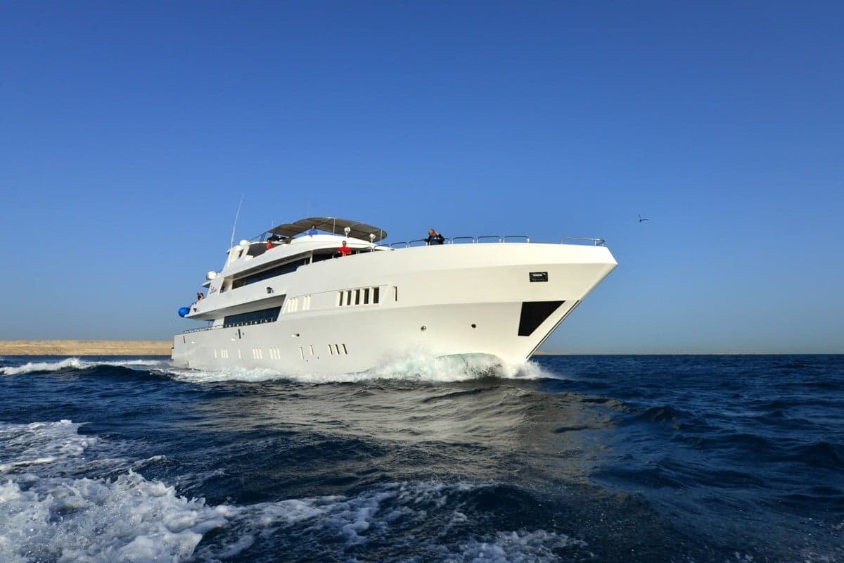 A sleek modern vessel, Blue takes guests through Egypt’s best Red Sea sites—Daedalus, Elphinstone, and the Brothers—where pelagic sightings are frequent