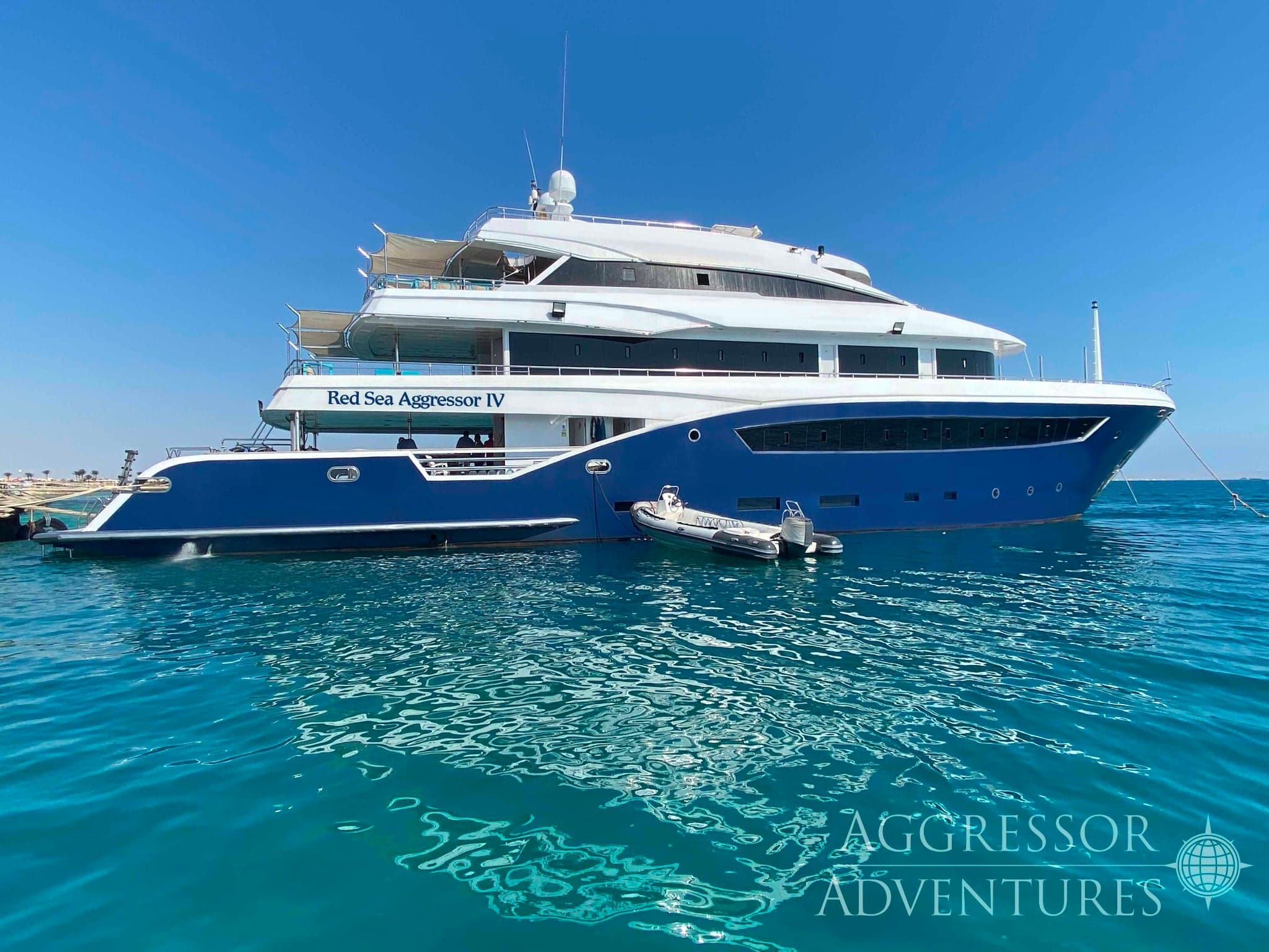 The Red Sea Aggressor IV is built for serious exploration, diving legendary sites such as the Thistlegorm wreck and Daedalus Reef, where hammerhead sharks and oceanic whitetips are often spotted
