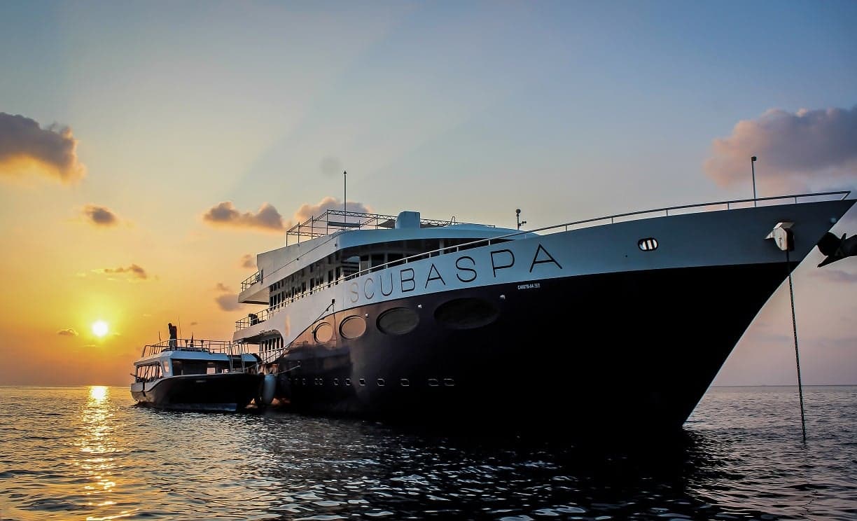 With dual focus on wellness and diving, Scubaspa Yin offers a five-star floating experience. Central atoll dives include Maaya Thila, Fushi Kandu, and vivid coral gardens