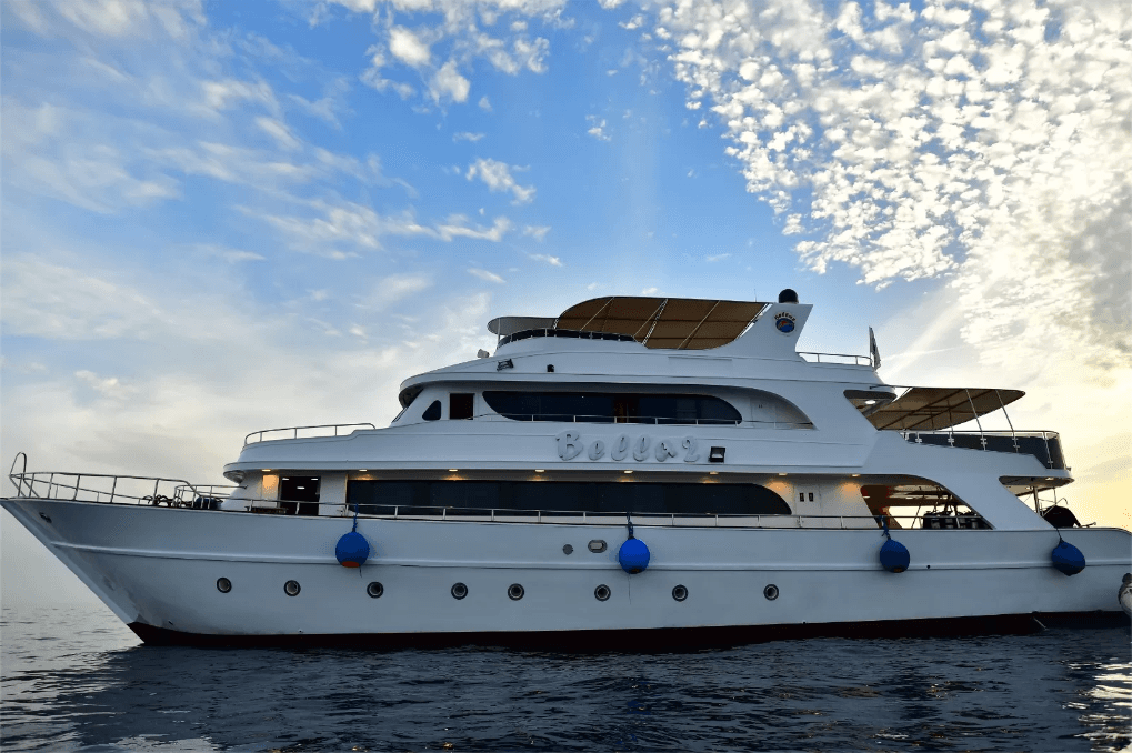 With routes through the deep south, Bella 2 liveaboard takes divers to St. John’s, Sataya, and Fury Shoals - home to dolphin pods, coral gardens, and an array of reef fish