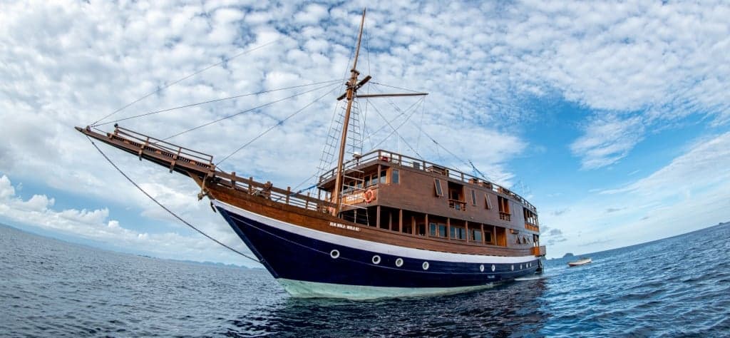 Mola Mola 2 liveaboard focuses on Bali and Nusa Penida, with seasonal chances to dive alongside sunfish, reef mantas, and turtles in warm, current-swept waters filled with coral plateaus