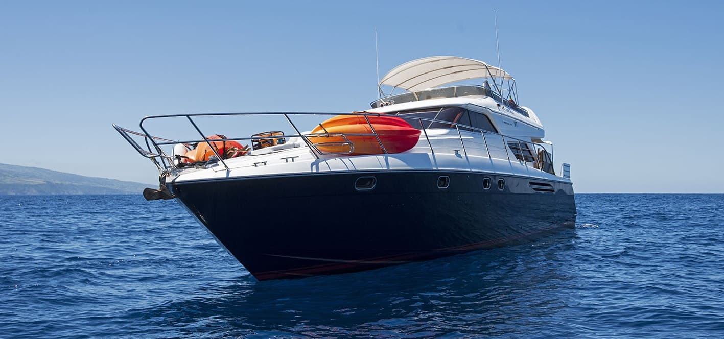 Narobla, known for its eco-conscious approach, tours Portugal’s rugged coastline, providing opportunities to spot sharks, dolphins, and vibrant Atlantic marine life