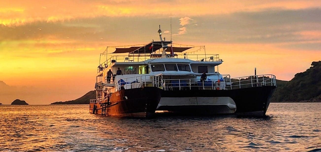 Navis 1 boat sails across the Visayas, with dives at Apo Island and Balicasag offering encounters with turtles, jacks, barracudas, and rich coral slopes in warm tropical waters