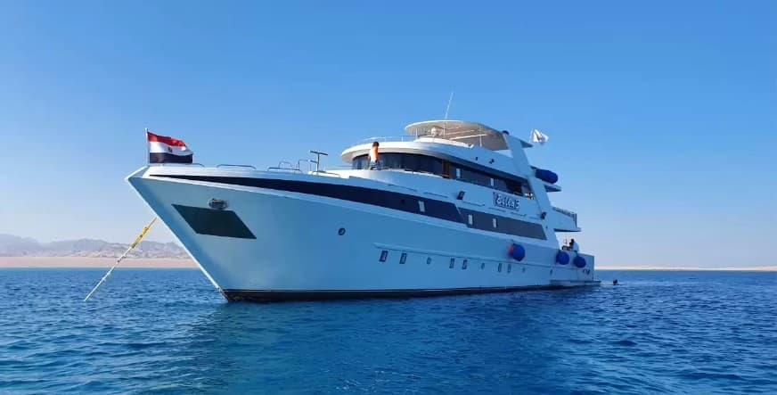Bella 3 liveaboard offers Red Sea itineraries to Brothers, Daedalus, and Elphinstone, with hammerheads, oceanic whitetips, and vertical coral-covered walls in clear, deep waters