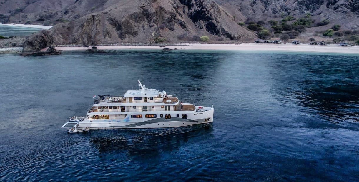 Solitude Gaia vessel explores Palau’s top dive spots including Blue Corner and German Channel, with reef sharks, manta rays, and strong currents offering world-class drift diving