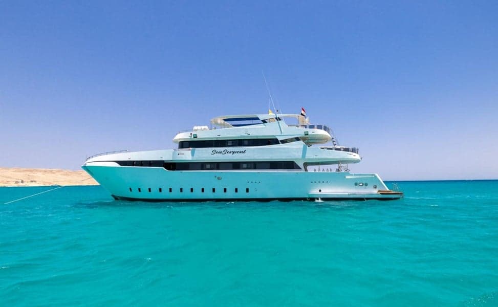 Sea Serpent lives up to its name, cruising to Daedalus, Brothers, and Elphinstone for a mix of reef dives, shark sightings, and Red Sea signature drift dives