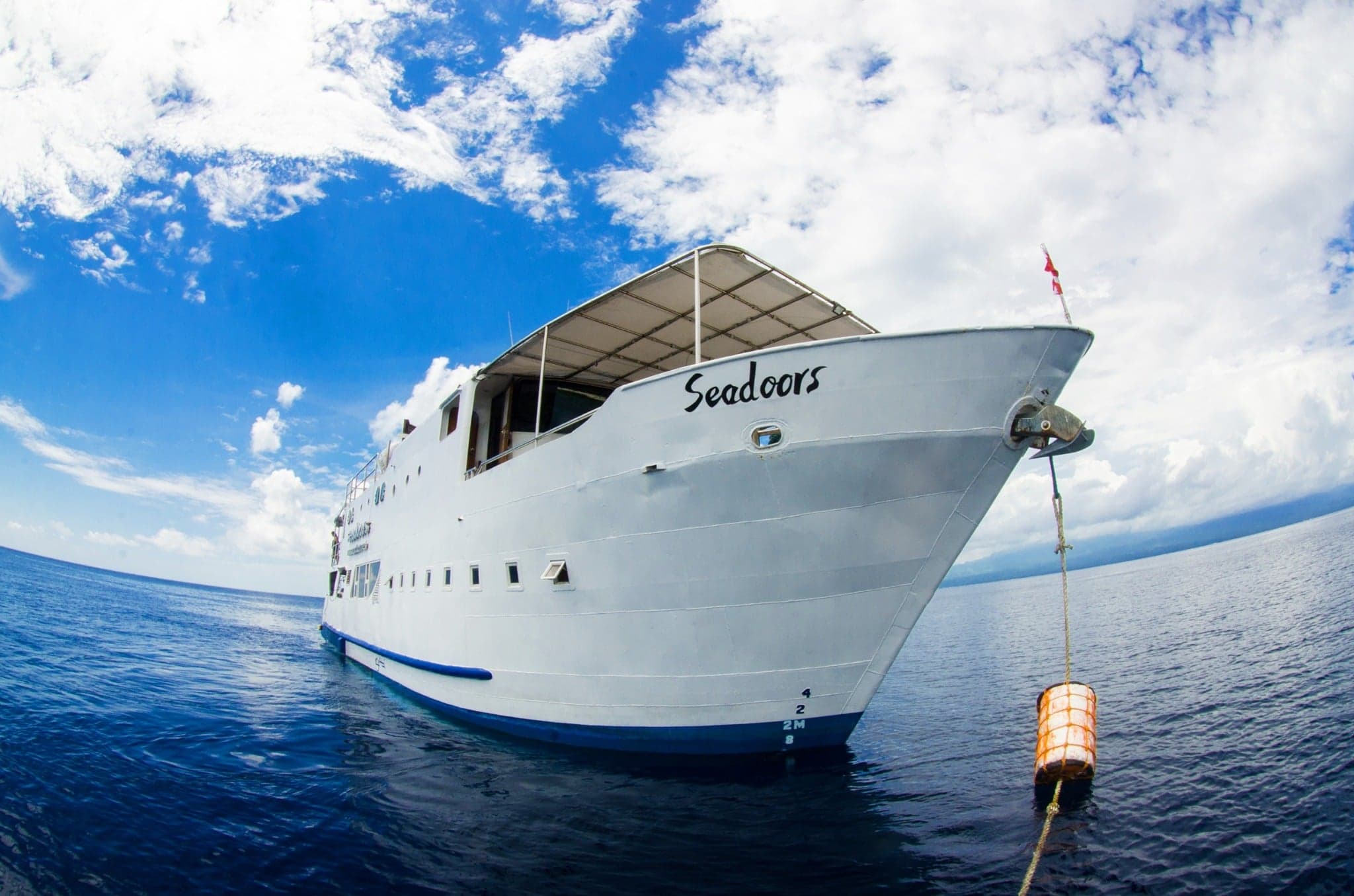 Seadoors takes you to Tubbataha and beyond, diving steep walls, coral plateaus, and channels alive with reef sharks, barracudas, and the occasional manta ray