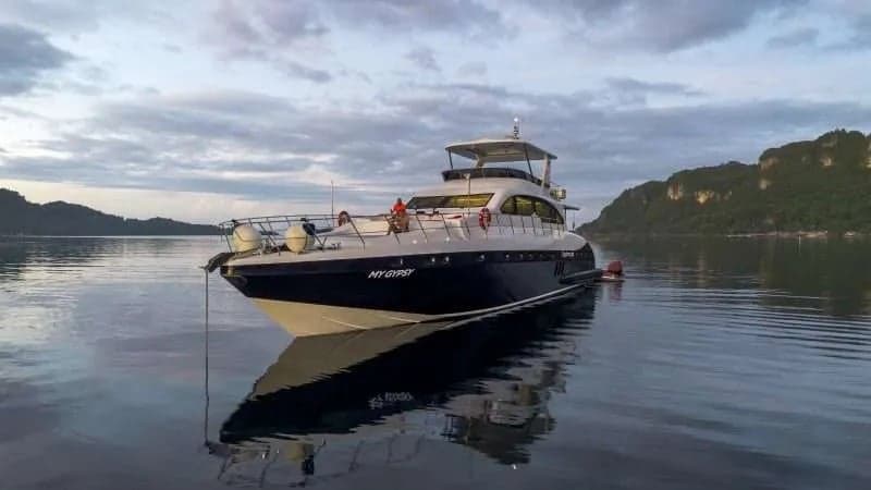 Gypsy provides a personalized diving tours in Philippines that can accommodate a maximum of 8 guests. The vessel is 24.3 meters (80 feet) long and has four nicely laid-out rooms. The maste...