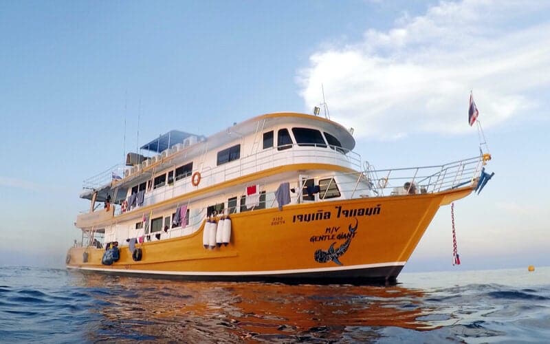 Dive Thailand’s Andaman Sea with Gentle Giant liveaboard—6-night, 22-dive cruises to Similan Islands, Richelieu Rock, Hin Daeng & more. Small group comfort, top sites, limited departures