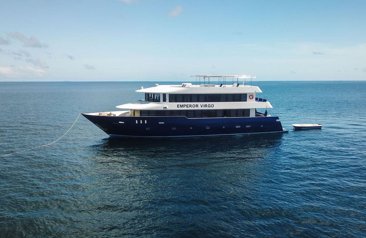 Emperor Virgo delivers relaxed dive cruises through the central Maldives. Alimatha, Fish Head, and other thilas offer reef shark action and vibrant coral-lined swim-throughs
