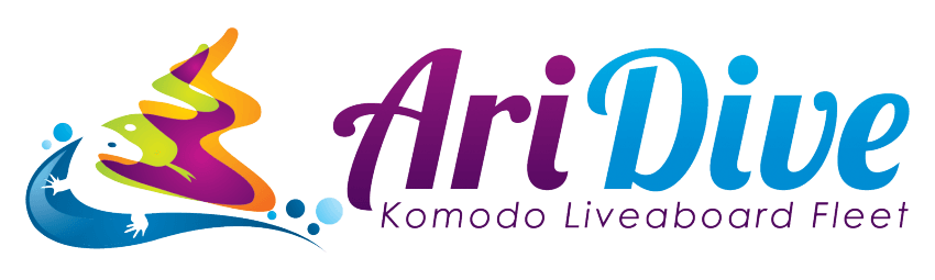 Ari Dive – Komodo Liveaboard Fleet