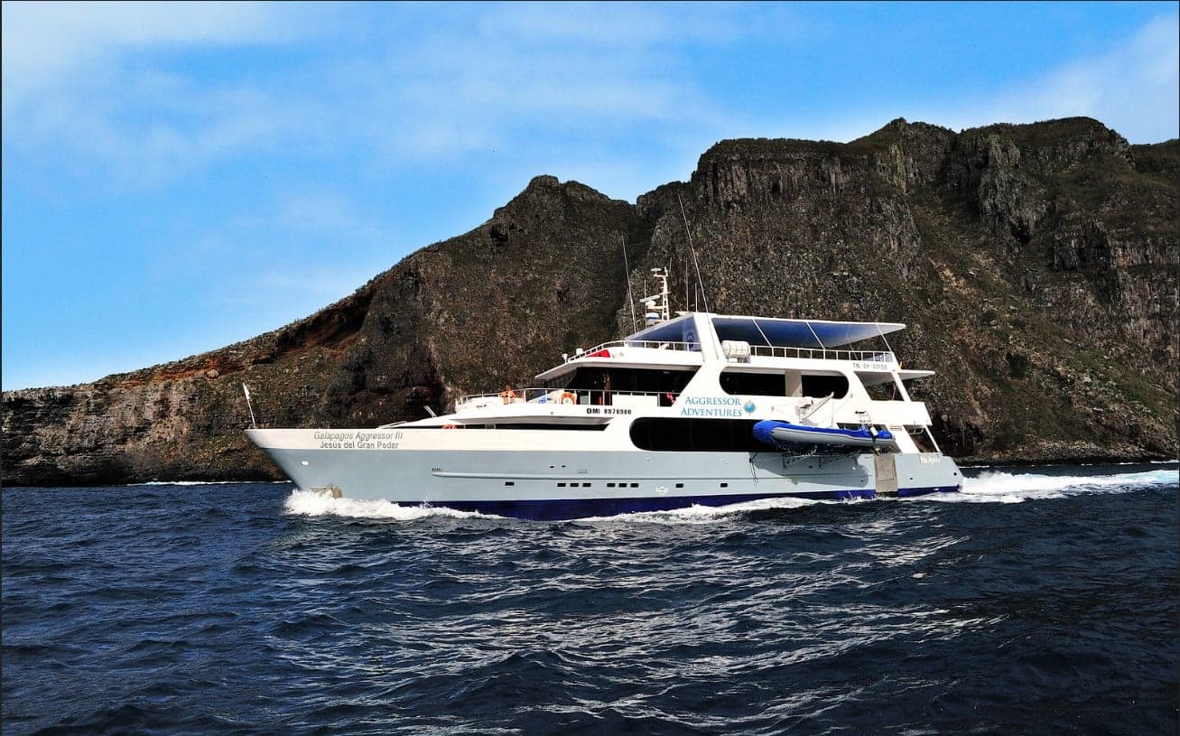 Galapagos Aggressor III offers epic diving at Darwin and Wolf, where hammerhead sharks school overhead and whale sharks drift through the deep blue
