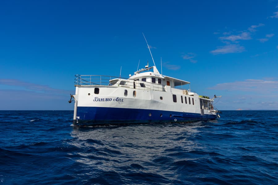 Danubio Azul cruises the Galapagos Islands, diving Wolf and Darwin where hammerhead sharks, whale sharks, and sea lions create unforgettable underwater encounters