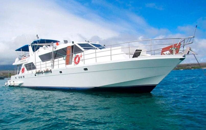 With just eight guests on board, Nortada delivers an intimate Galapagos experience. Dive Wolf and Darwin for schooling hammerheads, Galapagos sharks, and whale sharks in season