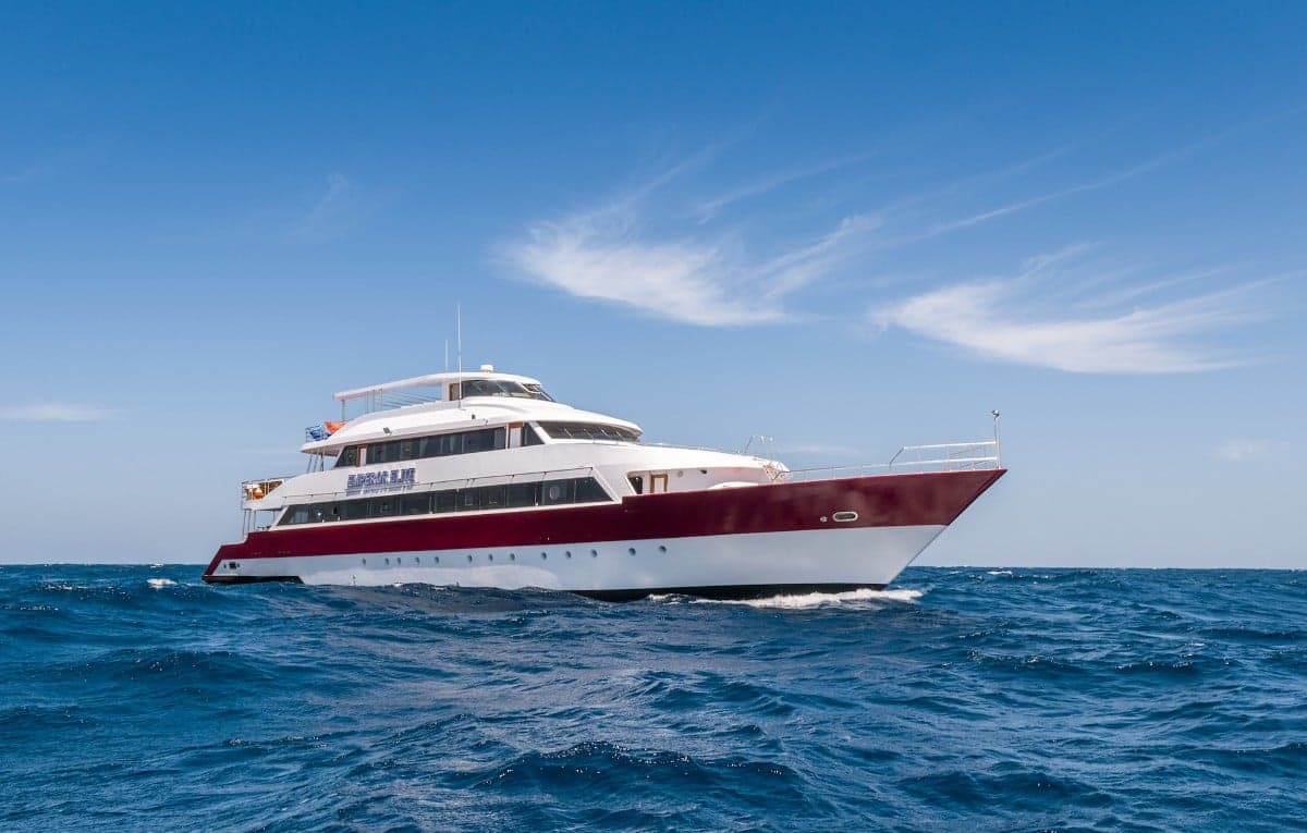 Discover the Emperor Elite Liveaboard - a luxurious 38m yacht cruising Egypt’s Red Sea. Enjoy world-class diving, spacious cabins, gourmet dining, and expert dive guides on board one of the region’s top-rated liveaboards