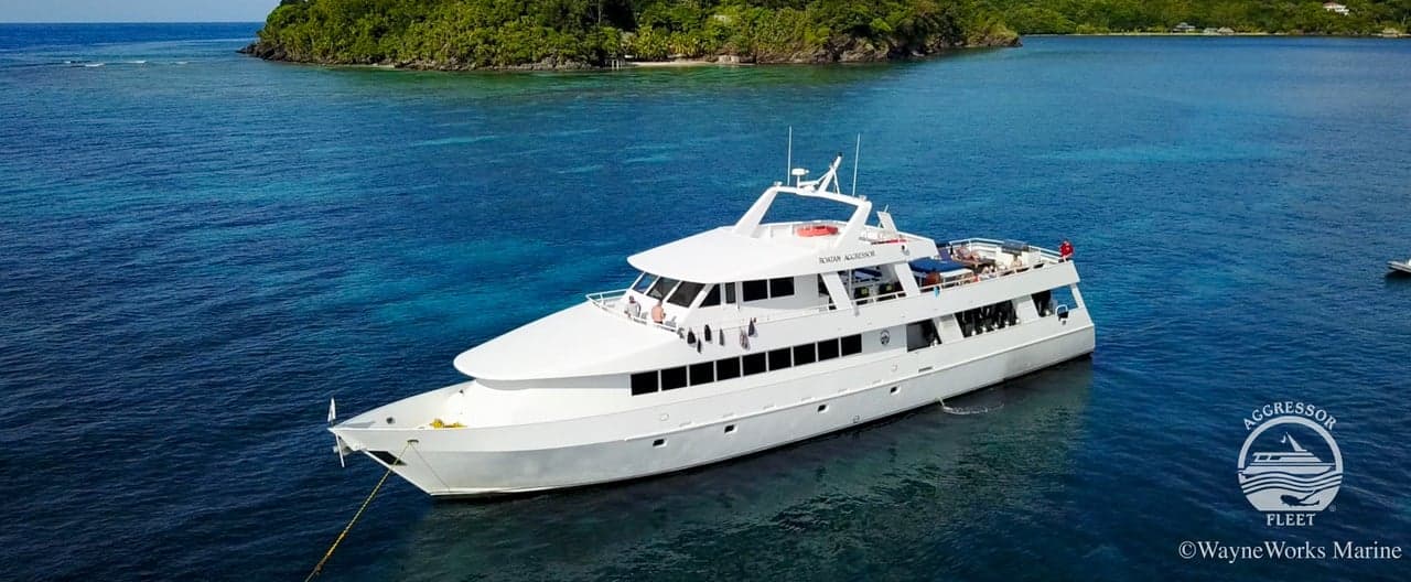 Explore the best of Roatan Aggressor liveaboard diving in Honduras! Dive vibrant coral reefs, wrecks & encounter whale sharks. Includes itineraries, cabins, safety & booking info