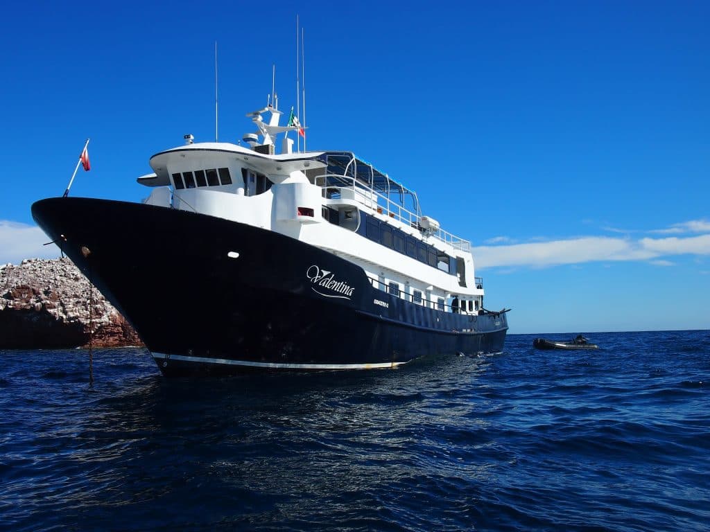 MV Valentina Liveaboard in Mexico offers luxury diving trips to Socorro Islands, Sea of Cortez. Dive with hammerheads, giant mantas & humpback whales. Book now for the best liveaboard experience in Mexico!