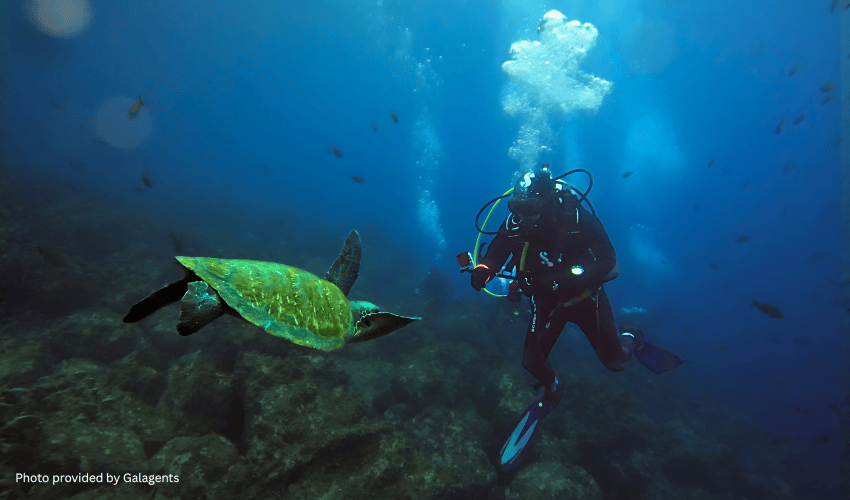 An underwater shot of a scuba diver swimming alongside a large green sea turtle in the clear blue waters of the Galápagos Marine Reserve