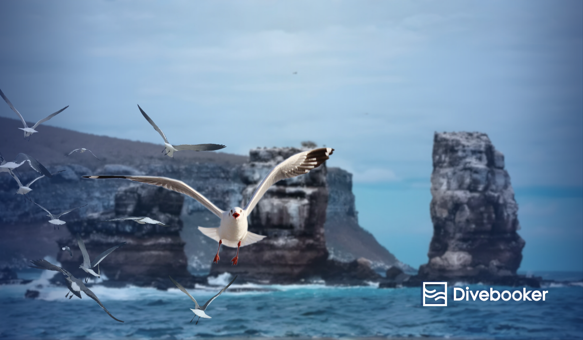 A group of seagulls flies over a blue ocean with the distinctive rock formations of the Pillars of Evolution in the background under a soft, hazy sky.