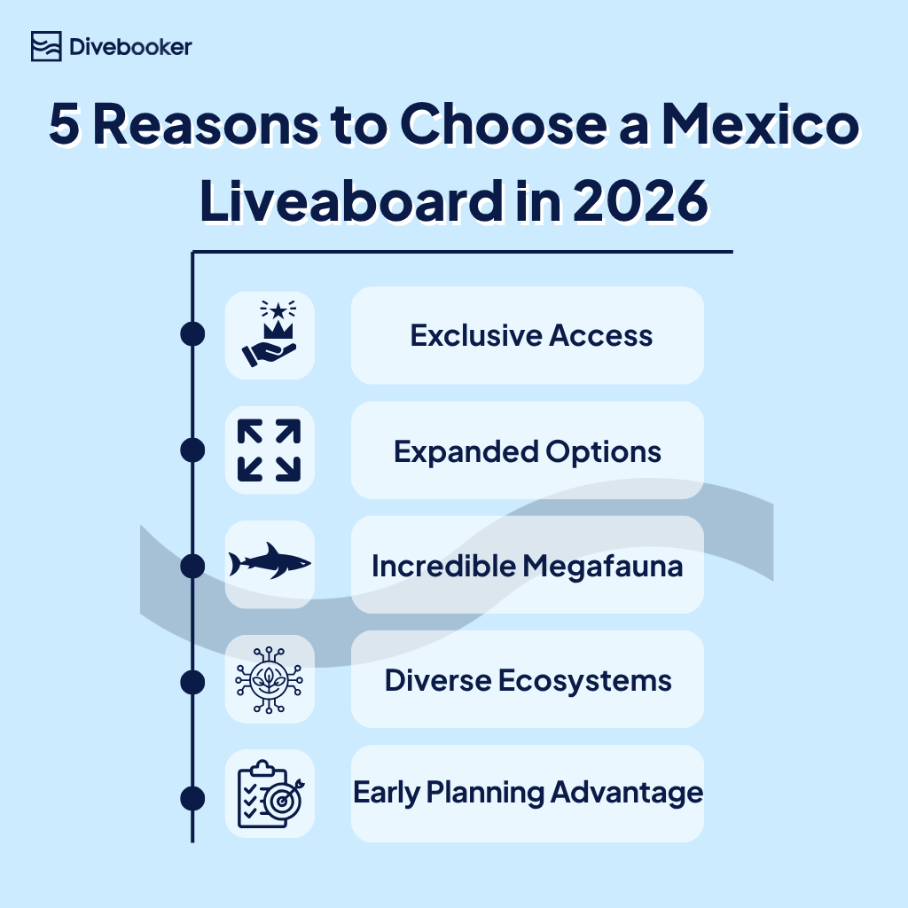 5 REASONS TO CHOOSE A MEXICO LIVEABOARD IN 2026 Infographic titled "5 Reasons to Choose a Mexico Liveaboard in 2026" featuring icons for Exclusive Access, Expanded Options, Incredible Megafauna, Diverse Ecosystems, and Early Planning Advantage.