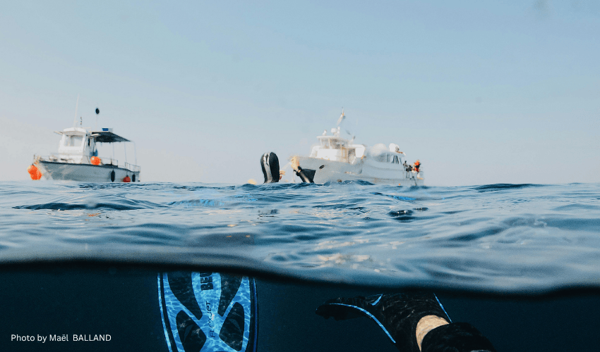 dive safari in Mexico Photo by Maël BALLAND An over-under water photograph showing a diver’s fin and hand below the surface with two white liveaboard boats floating on the clear blue ocean under a bright sky in Mexico.