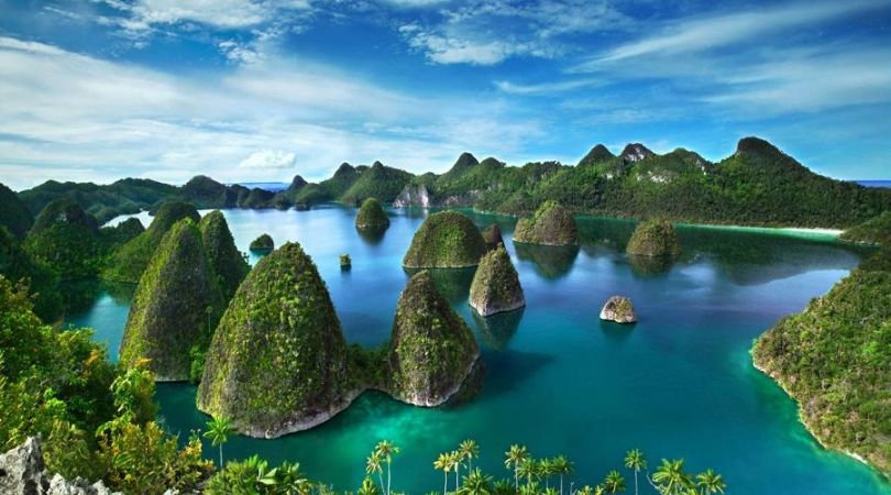 The Best Of Raja Ampat On A Liveaboard Diving Trip Divebooker Blog Scuba Diving Inspiration