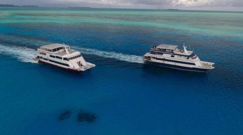 Get Familiar With Aggressor Liveaboards - Divebooker Blog - Scuba ...