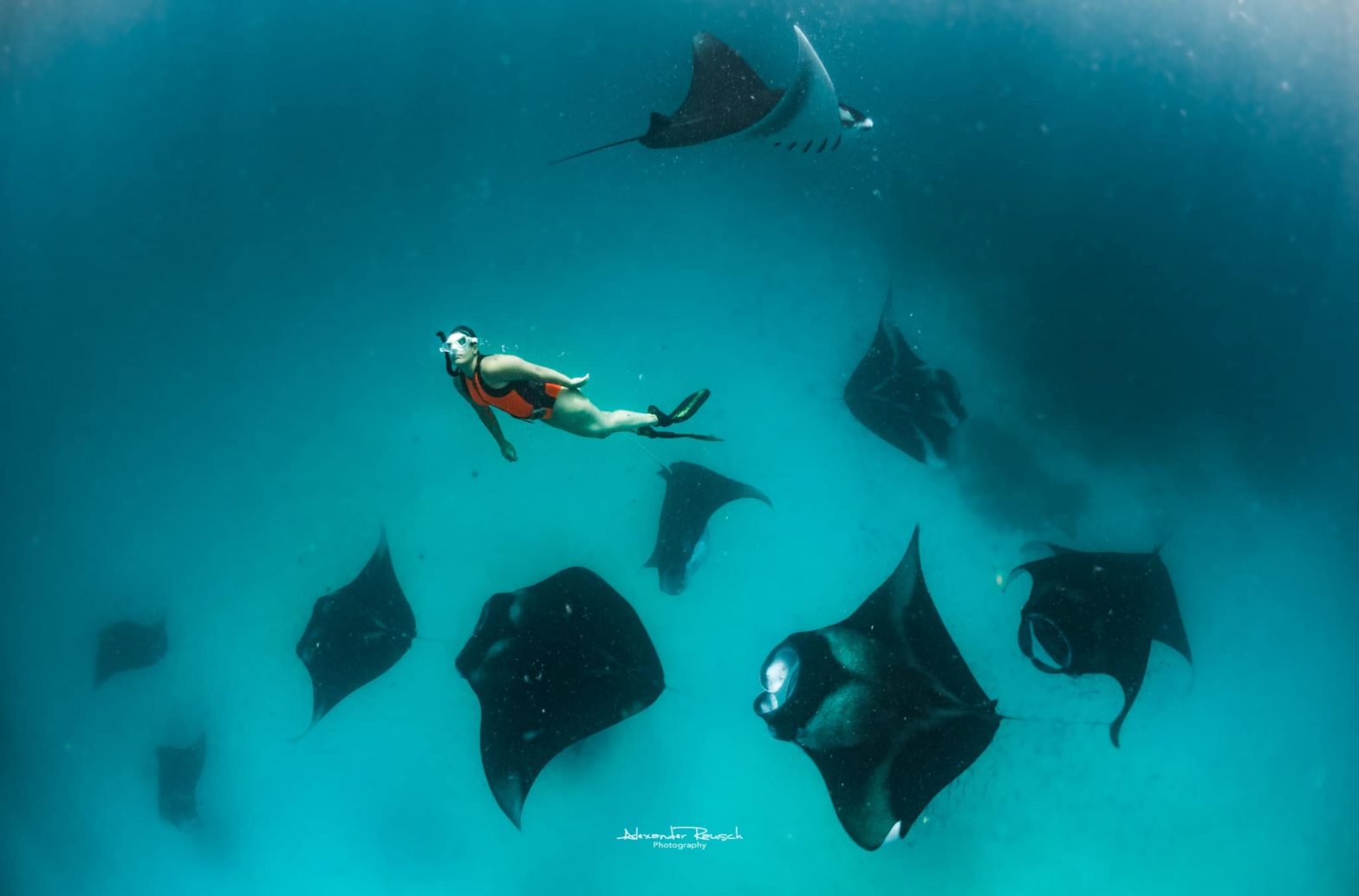 Manta Rays Paradise Hanifaru Bay Maldives Divebooker Blog Scuba Diving Inspiration