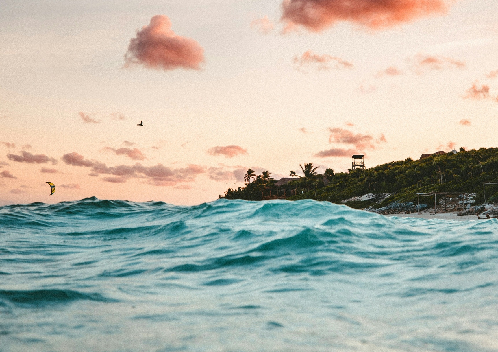 best time to dive in mexico