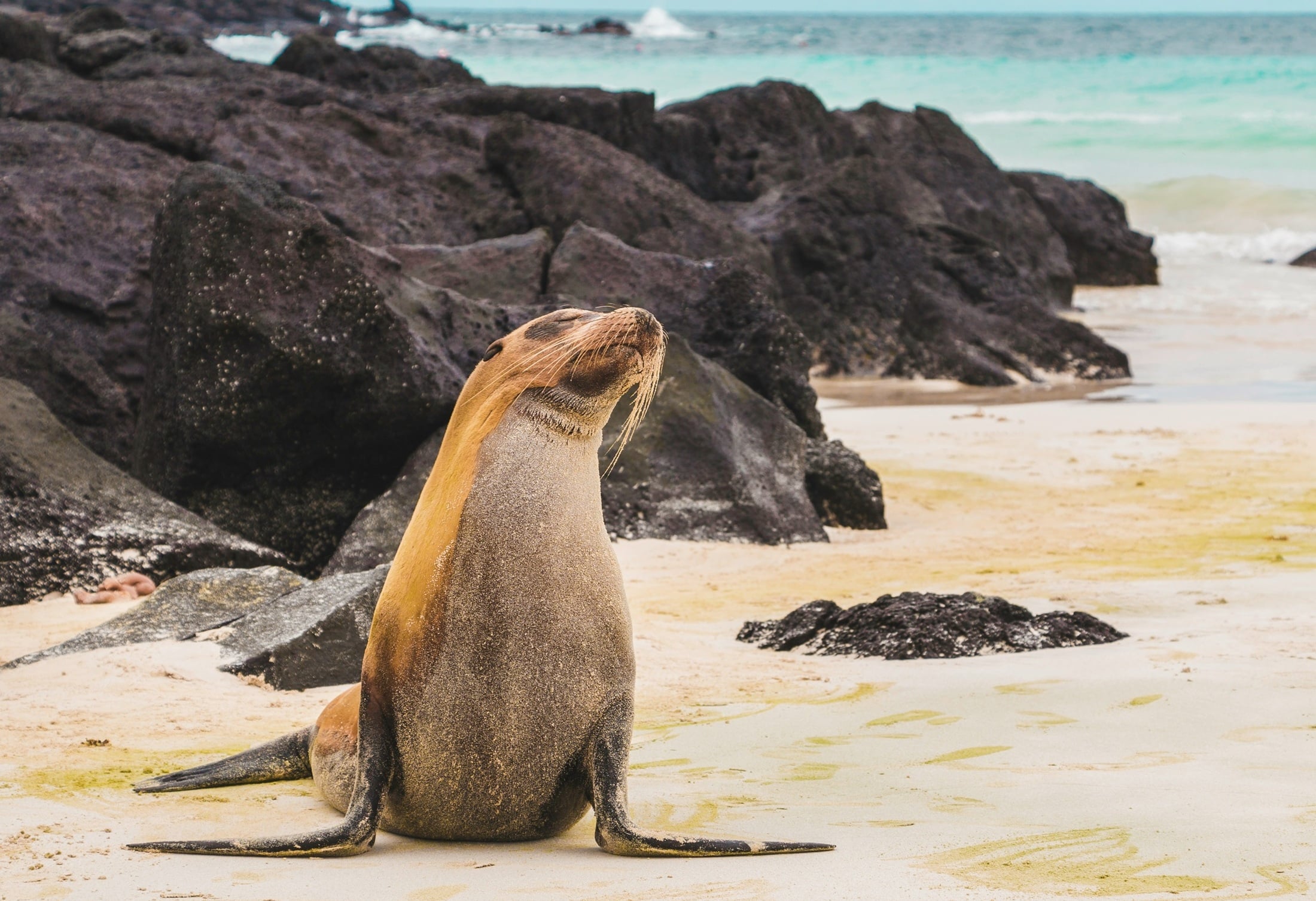 best places to scuba dive in september