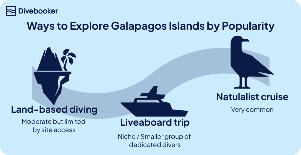 Infographic comparing the popularity of Galápagos exploration: Land-based diving (Moderate), Liveaboard trip (Niche/Dedicated divers), and Naturalist cruise (Very common).