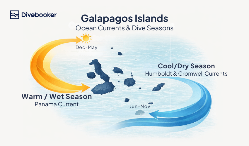  A map of the Galapagos Islands illustrating the Panama Current bringing warm water from the north and the Humboldt and Cromwell currents bringing cool, nutrient-rich water from the south.