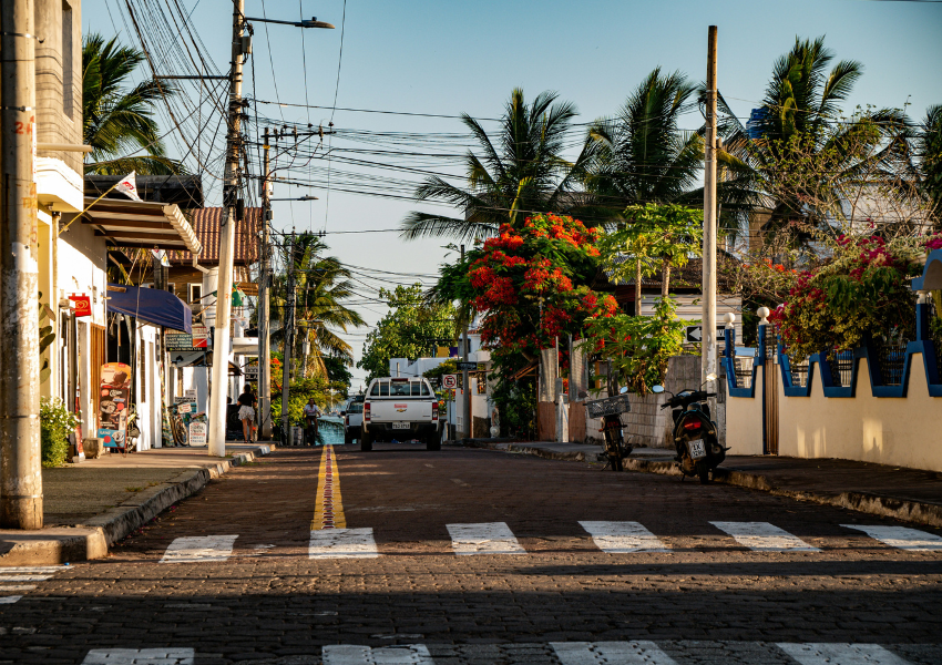 A sunlit street scene in a Galápagos Islands town, featuring low white buildings, palm trees, power lines, and a parked white pickup truck, illustrating the land-based portion of a diving trip.