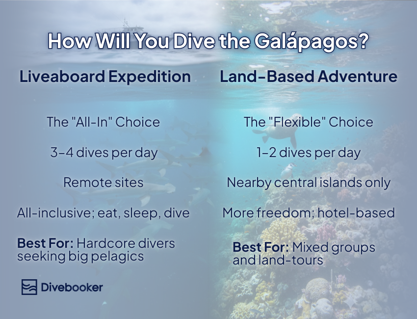 An infographic titled "How Will You Dive the Galápagos?" comparing Liveaboard Expeditions, which offer 3–4 dives per day at remote sites for hardcore divers , against Land-Based Adventures, which offer 1–2 dives per day at nearby central Islands for mixed groups.