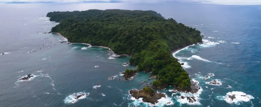 High-angle aerial view of Caño Island, showcasing a dense jungle canopy and waves crashing against the rugged, rocky coastline.
