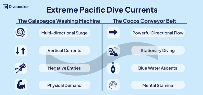 Infographic titled 'Extreme Pacific Dive Currents' comparing Galápagos and Cocos Island. The Galápagos 'Washing Machine' side lists multi-directional surge, vertical currents, negative entries, and physical demand. The Cocos 'Conveyor Belt' side lists powerful directional flow, stationary diving, blue water ascents, and mental stamina.