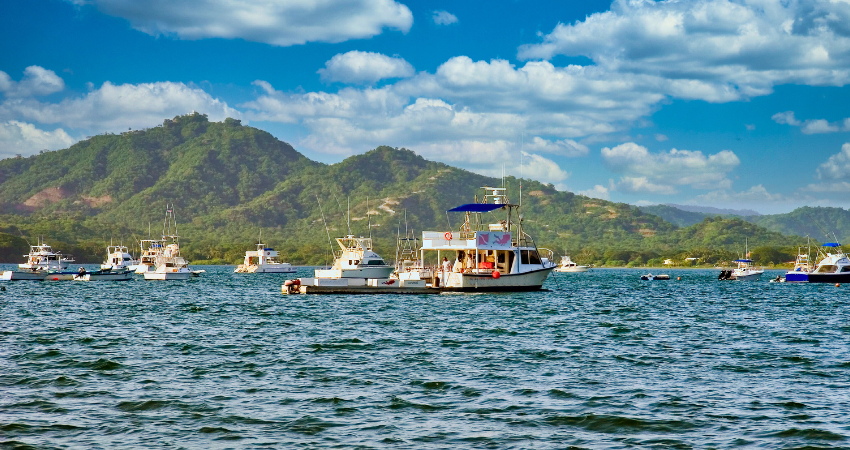 Multiple white dive boats and yachts anchored in a scenic bay backed by lush, rolling green mountains under a blue sky with white clouds.