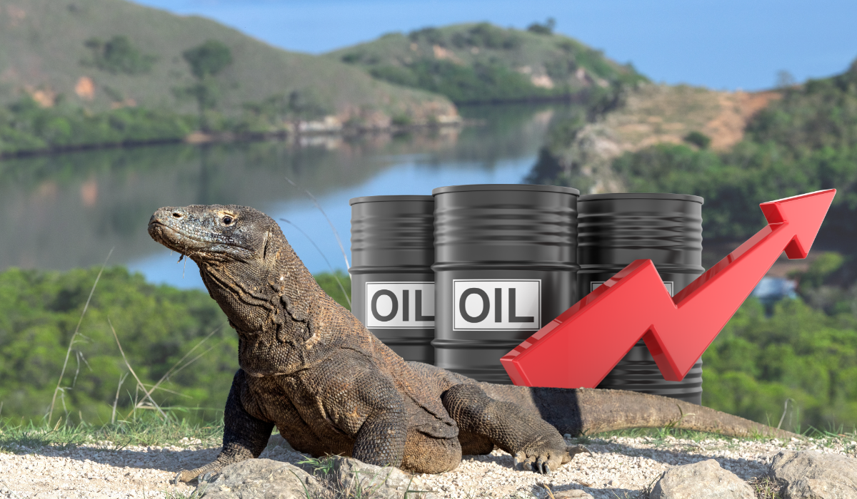 Navigating Global Fuel Price Increases and Operational Changes A Komodo dragon rests on a rocky shore overlooking a tropical bay, positioned next to three black oil barrels and a rising red arrow. This imagery symbolizes the impact of soaring global fuel costs on exotic diving destinations.