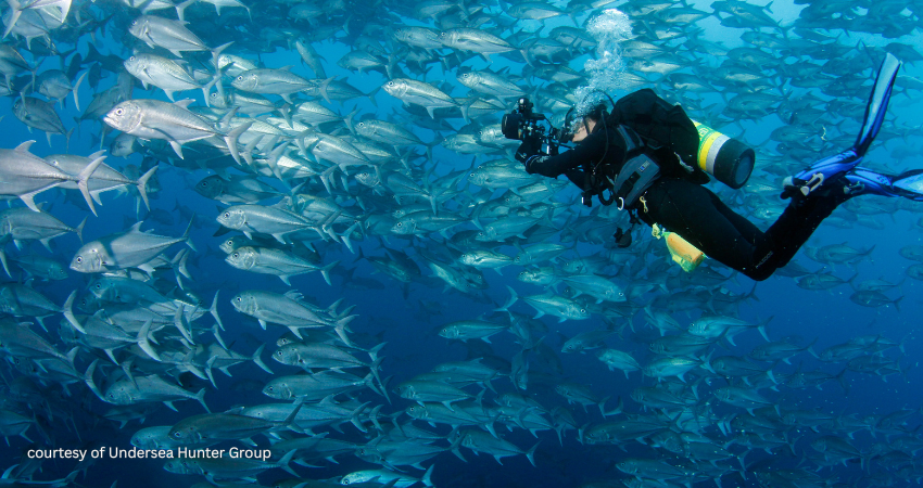 A scuba diver using an underwater camera to photograph a massive, dense school of silver jacks in the pristine waters of the Cocos Island marine reserve.courtesy of Undersea Hunter Group
