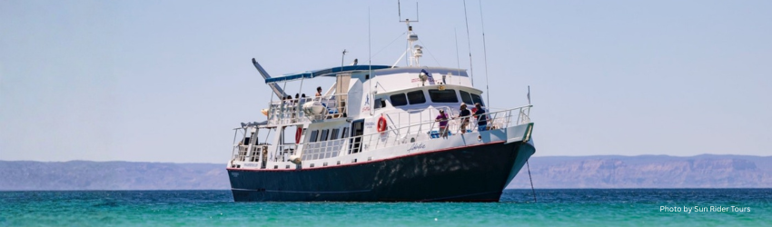 The Adventure liveaboard vessel at sea, offering an unpretentious and accessible entry point for diving the Revillagigedo Archipelago. 