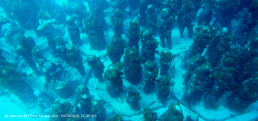 Life-size human statues from 'The Silent Evolution' installation at MUSA (Cancún Underwater Museum of Art), covered in coral growth on the seabed during a Mexico scuba diving tour.