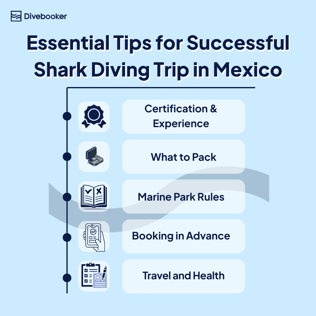 A checklist of essential tips for a successful liveaboard shark diving trip in Mexico.