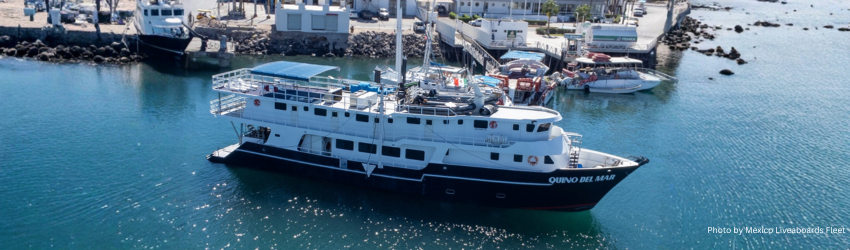 The Quino del Mar liveaboard docked at a marina, featuring a steel hull designed for citizen science and research-focused dive trips.